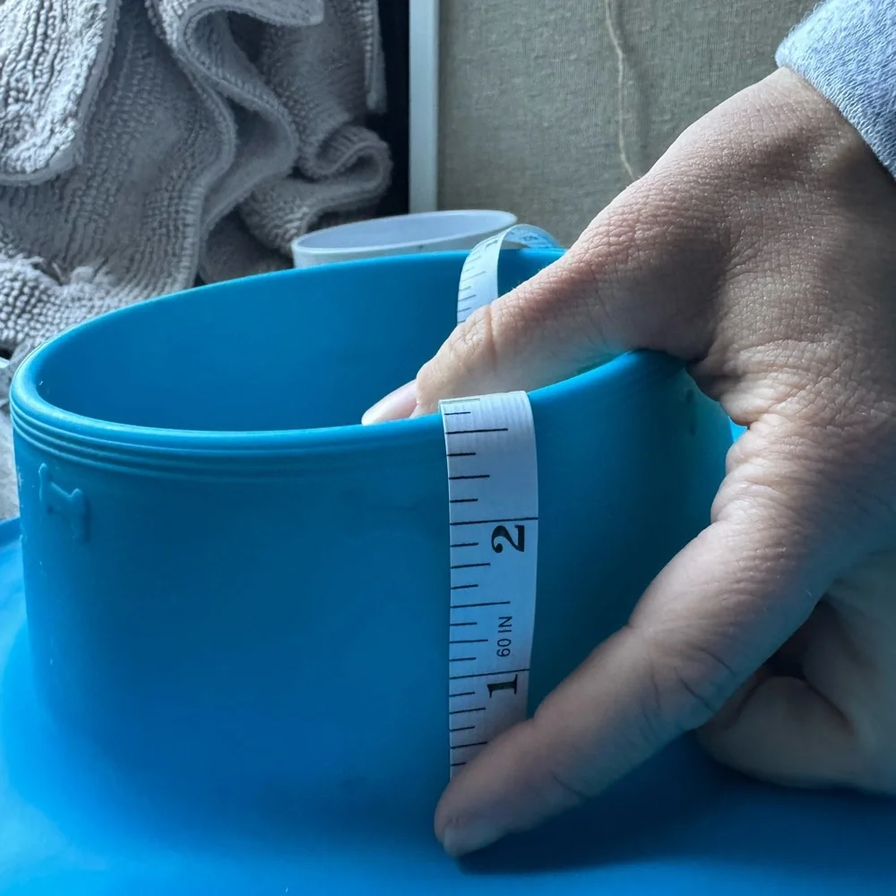 Blue Silicone Pet Feeding Mat with Bowls